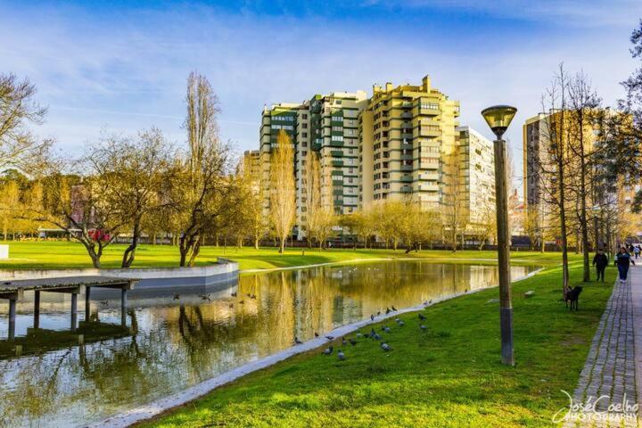 Green Executive Apartment In The Heart Of Lisabona Exterior foto